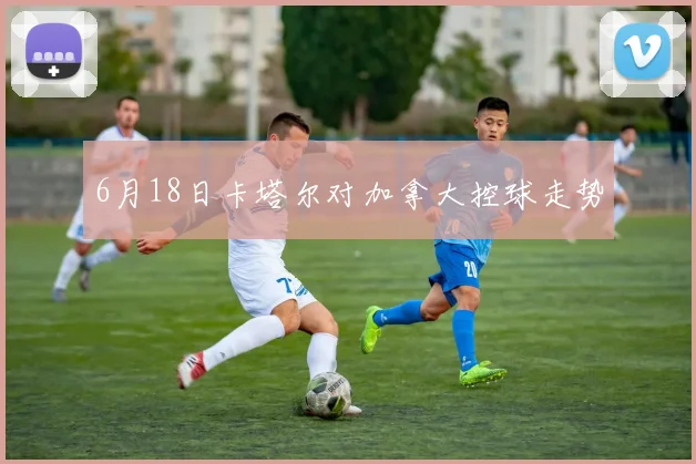 6月18日卡塔尔对加拿大控球走势
