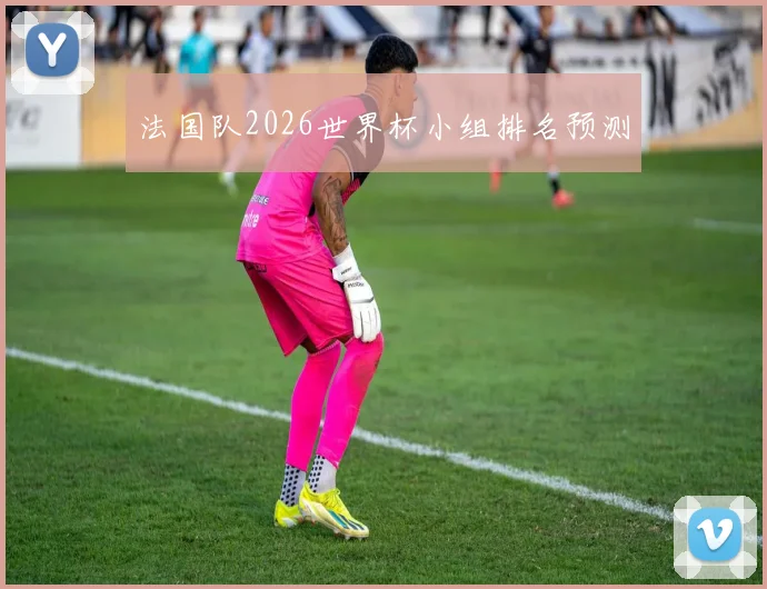 法国队2026世界杯小组排名预测