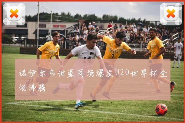 诺伊尔韦世豪同场爆发U20世界杯全场沸腾