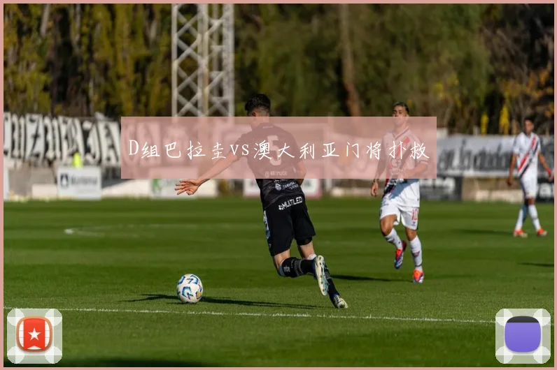 D组巴拉圭vs澳大利亚门将扑救
