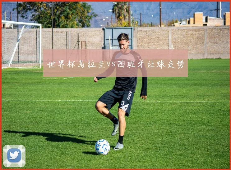 世界杯乌拉圭vs西班牙让球走势