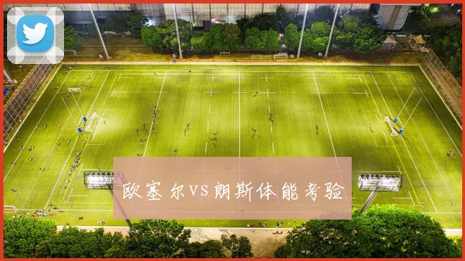 欧塞尔vs朗斯体能考验