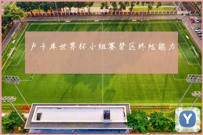 卢卡库世界杯小组赛禁区终结能力